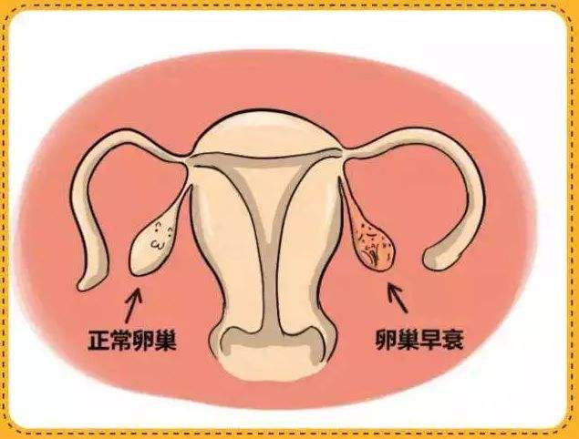 女性朋友注意丨“亲戚”迟到时间长，小心“它”早衰