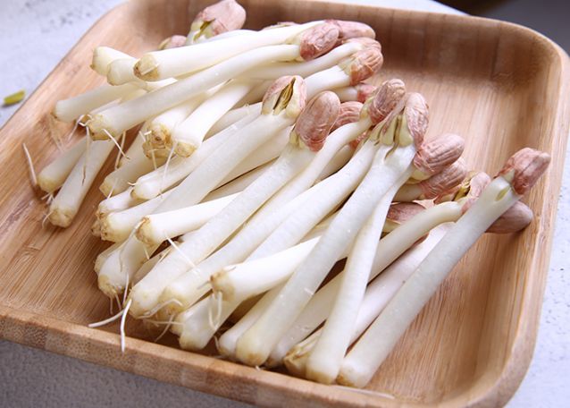 这些食物发芽后 不仅没毒而且营养翻倍