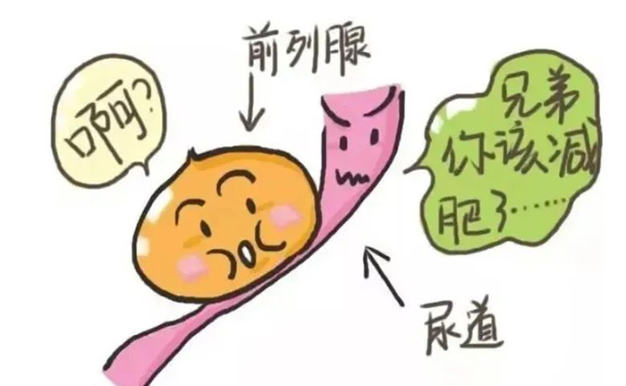 前列腺增生会不会复发？89岁老人有点懵