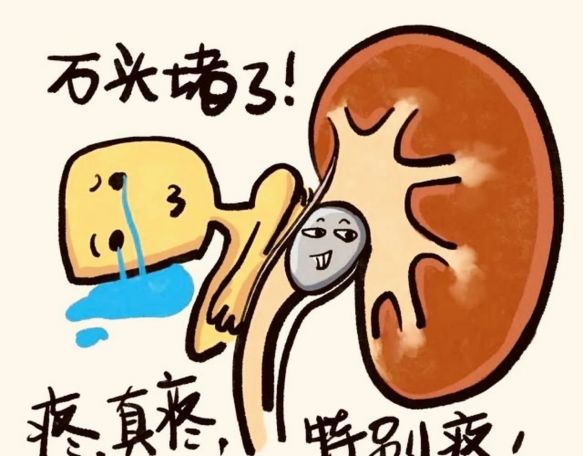 别让泌尿外科疾病悄悄拖垮你！这些知识你一定要懂