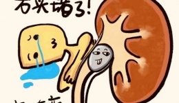 别让泌尿外科疾病悄悄拖垮你！这些知识你一定要懂