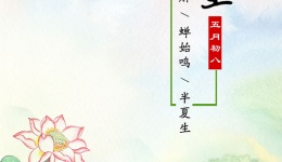 最长的白昼过后，与你相见的日子越来越近